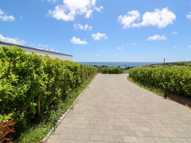 A paved pathway bordered by green hedges leading towards the ocean at Atlantic View in Germoe