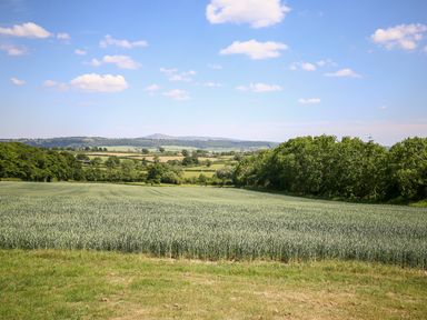 A rural landscape with a field of crops and trees under a blue sky at The Onibury in Craven Arms