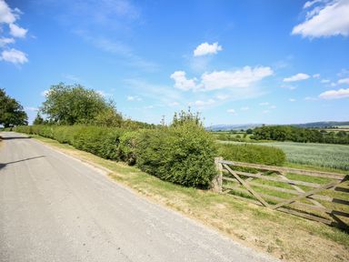A country road with hedges and a wooden gate next to grassy fields at The Onibury in Craven Arms