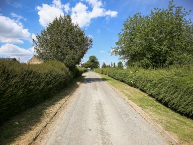 A paved road lined with green hedges and trees on a sunny day at The Onibury in Craven Arms
