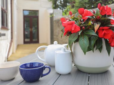 A table with a white teapot white sugar bowl blue cup and red flowers in a pot outside a building at Monfa in Cemaes Bay