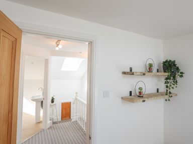 A hallway with striped carpet a wooden door shelves with plants and a bathroom with a pedestal sink at Monfa in Cemaes Bay