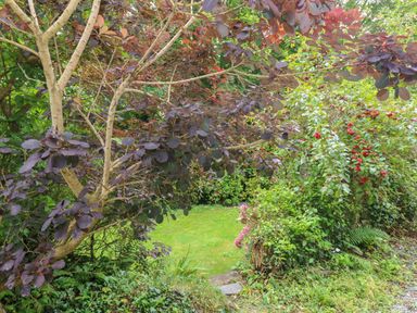 A garden with purple and green leafy plants and a grassy area at The Old Mill in Neyland near Milford Haven