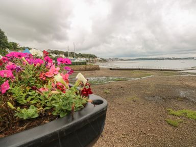 A planter with pink white and red flowers by a rocky shore with boats houses and water in the background at The Old Mill in Neyland near Milford Haven