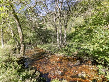 A forested area with a shallow rocky stream running through at The River Lodge in Oban