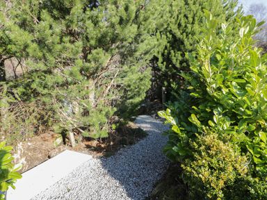 A gravel path surrounded by bushes and pine trees at The River Lodge in Oban