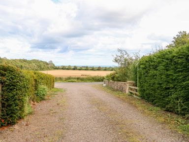 A gravel driveway lined with green hedges leading to an open field and trees at The Shieling in Warkworth