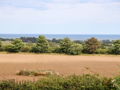 A plowed field with green bushes and trees behind it and a body of water visible at The Shieling in Warkworth