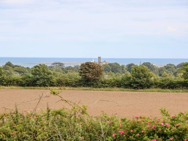 A field with bushes in front trees with a castle and sea in the background at The Shieling in Warkworth