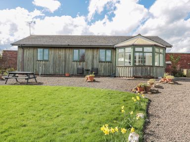 A single story wooden house with a conservatory and garden with daffodils at The Shieling in Warkworth