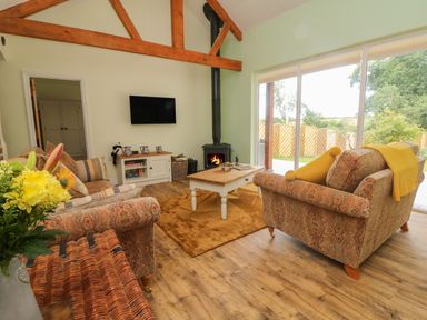 A living room with sofas a coffee table a wall-mounted TV a wood-burning stove and large sliding glass doors at Langdale Barn in Sampford Courtenay