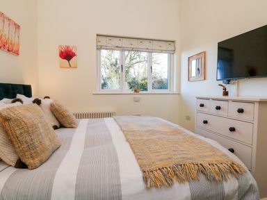 A bedroom with a bed pillows a window with a bird patterned blind and a dresser with a TV at Langdale Barn in Sampford Courtenay