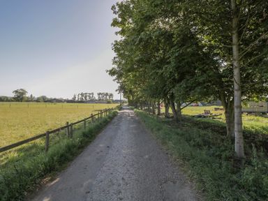 A rural dirt road with trees on one side and a fenced grassy field on the other at Kingfisher 2 The Old Stables in Witney
