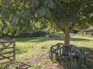 An outdoor area with plastic chairs around a tree a wooden gate and picnic tables in the background at Kingfisher 2 The Old Stables Witney