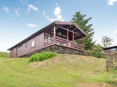 A wooden cabin elevated on a stone foundation on a grassy hillside with trees at The Look Out in Aberdovey