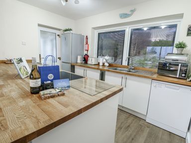 A kitchen with a sink, fridge, and snacks on the counter at Daisy Cottage Benllech