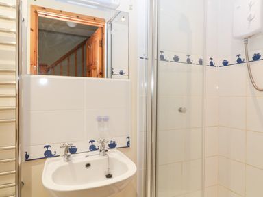 A bathroom with a sink with two taps a mirror a tiled wall with whale and boat patterns a glass shower door and a heated towel rail at Hembry Meadows in Honicombe Park near Gunnislake