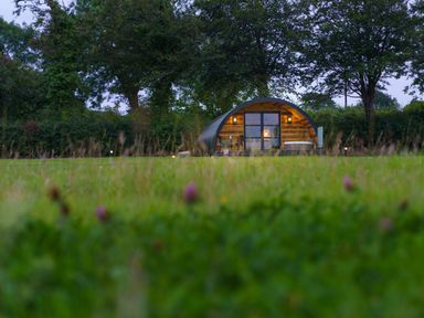A small wooden pod with two chairs and a hot tub surrounded by grass and trees at The Piglet Pod in Llanarth