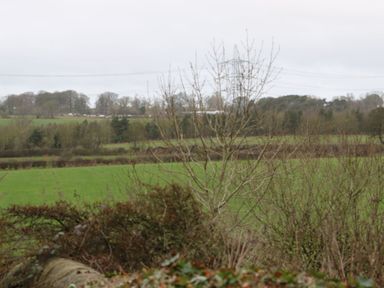 A rural landscape with green fields shrubs and leafless trees at Houghton North Farm Cottage in Heddon-on-the-Wall near Hexham