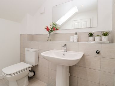 A bathroom with a toilet a sink a mirror floral arrangement and small potted plants at Amble Views in Amble