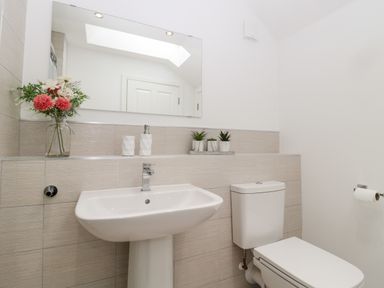 A bathroom with a sink, toilet, mirror, flowers in a vase, and small plants at Amble Views in Amble
