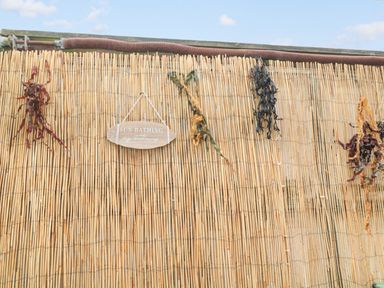 A bamboo fence with dried seaweed hanging and a sign that says sun bathing at Sandy Toes Cottage in Newbiggin-By-The-Sea