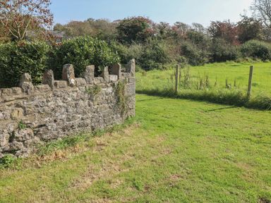 A grass lawn with a stone wall and fence posts with bushes and trees in the background at The Coach House Merrion near Pembroke