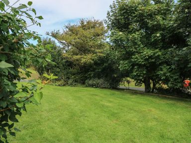 A grassy garden area with trees and shrubs at Y Twll Bollt The Bolt Hole in Folkeston Hill Nolton Haven West Wales and Pembrokeshire