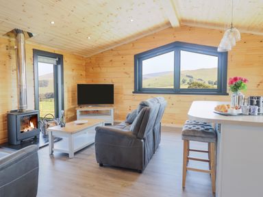 A living room with a wood burning stove TV gray sofas coffee table and breakfast bar at Bacheiddon Log Cabin Aberhosan near Machynlleth