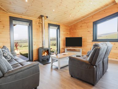 A living room with gray sofas a wood burning stove a coffee table and a television at Bacheiddon Log Cabin in Aberhosan near Machynlleth