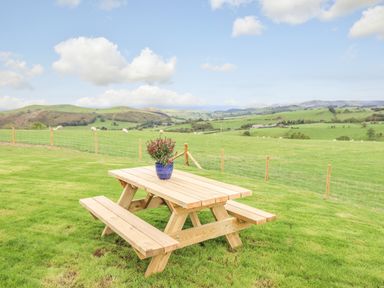 A wooden picnic table with a flower pot on a grassy hill overlooking fields and hills at Bacheiddon Log Cabin Aberhosan near Machynlleth