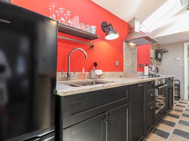 A kitchen with black cabinets a black refrigerator a stainless steel sink red walls and a skylight at Morawel Fach in Newport Pembrokeshire