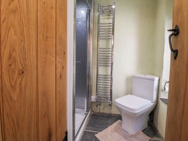 A bathroom with a toilet a shower a towel warmer and a wooden door at Morawel Fach in Newport Pembrokeshire