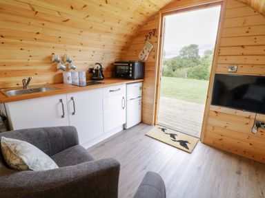 A small kitchen area with a sink stove kettle oven and fridge next to an open door with a view of grass and trees at Embden Pod at Banwy Glamping in Llanfair Caereinion