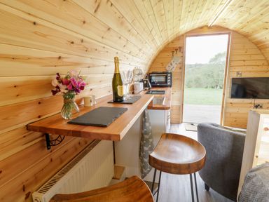 A curved wooden pod interior with a countertop and stools kitchen appliances and a door opening to a grassy area at Embden Pod at Banwy Glamping in Llanfair Caereinion