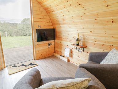 A small wooden pod interior with a wall-mounted TV two armchairs a shelf with a bottle and glasses and a view of green grass outside at Embden Pod at Banwy Glamping in Llanfair Caereinion