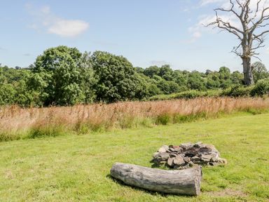 A fire pit with stones and a log seat on grass with trees and tall grass in the background at Embden Pod at Banwy Glamping in Llanfair Caereinion