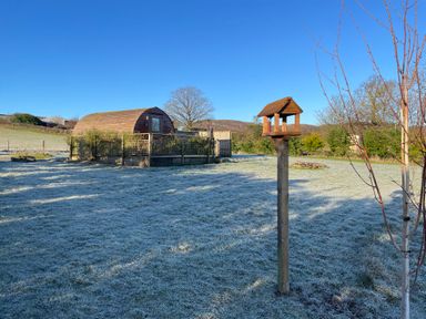 A wooden pod with a fenced area in a frosty field with a bird feeder and trees at Embden Pod at Banwy Glamping in Llanfair Caereinion