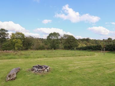 An outdoor area with a fire pit and surrounding trees at Embden Pod at Banwy Glamping, Llanfair Caereinion
