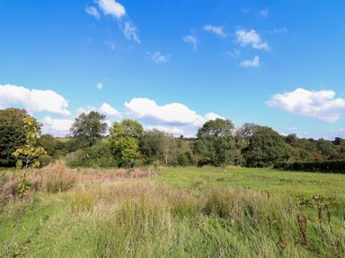 A field with trees and clouds at Embden Pod at Banwy Glamping Llanfair Caereinion