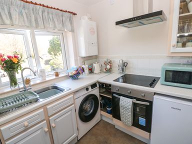 A kitchen with a sink, washing machine, oven, stovetop, microwave, mugs, and a vase of flowers at Ty Coch y Castell in Pembroke