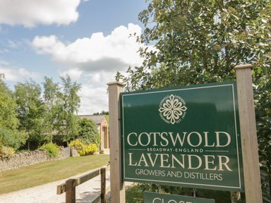 A green sign for Cotswold Lavender growers and distillers near a tree and pathway at Molly's Bit in Church Westcote near Bourton-On-The-Water