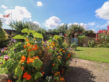 A garden with colorful flowers shrubs a grassy lawn a wooden fence and a blue gate at Molly's Bit in Church Westcote near Bourton-On-The-Water