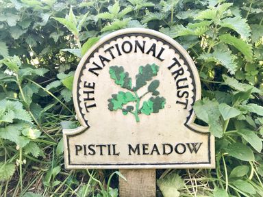 A National Trust sign reading Pistil Meadow surrounded by green plants