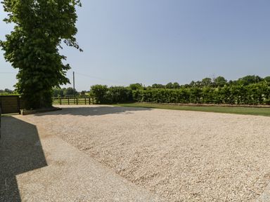 A gravel driveway with a large tree and green bushes in the background at Tilia Barn in Wincanton