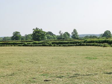 A grassy field with trees and hedges in the background at Tilia Barn in Wincanton