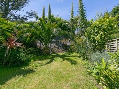 A garden area with grass, palm trees, various plants, a stone wall, and a wooden fence at 6 Albany Terrace in St Ives