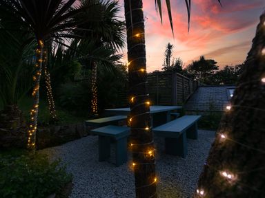 An outdoor seating area with wooden benches and tables surrounded by palm trees wrapped in string lights at 6 Albany Terrace in St Ives