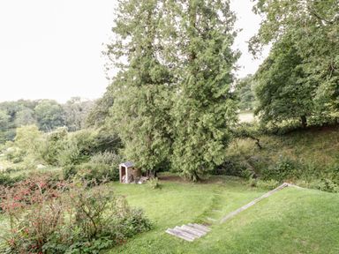 A grassy garden area with steps leading down to a wooden shed and large trees at Tor Cottage in Colwall Herefordshire