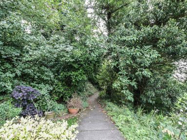 A paved garden path surrounded by dense green trees and plants with some potted plants alongside at Tor Cottage in Colwall Herefordshire